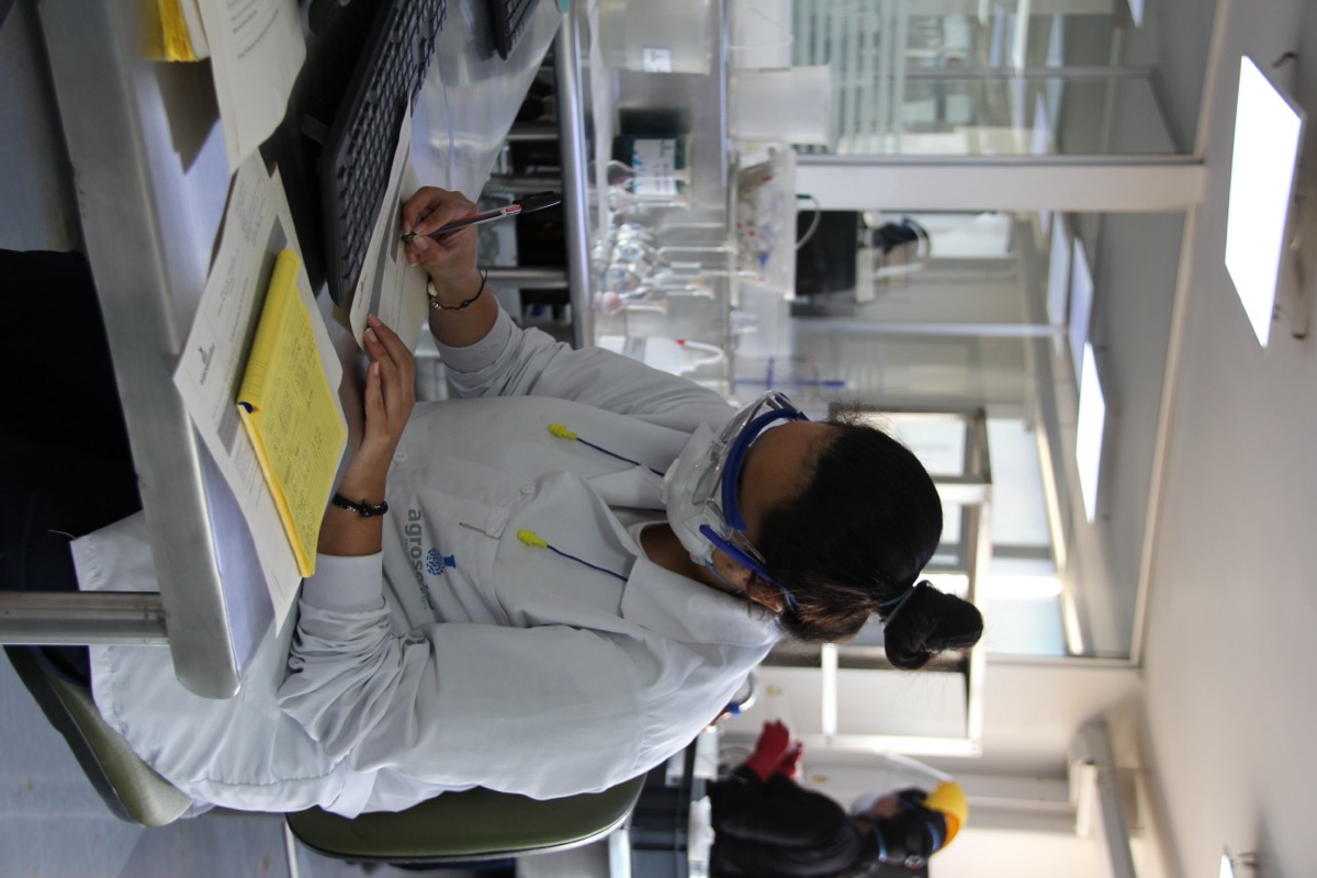 Datos claros del análisis